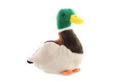 Plyšová hračka divoká kachna 24cm