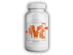 Energy Magnesium 1000mg, Hořčík Malát 200mg 200 kapslí