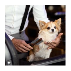 Hřeben oboustranný Barbershop
