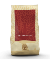 E Beginning 10kg