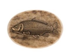 Kapr šupináč (parohové bolo)