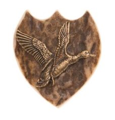 Kachna (parohové bolo)