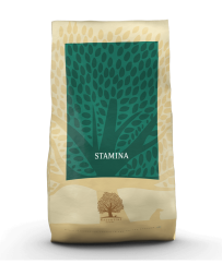 E Stamina 10kg