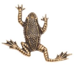 Žába (odznak na klobouk)