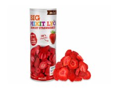 Velká křupavá jahoda 100g