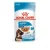 Royal Canin SHN Dog Maxi Puppy Gravy Kapsičky 10x140 g (1 ks v košíku = 1 box / 10 ks)
