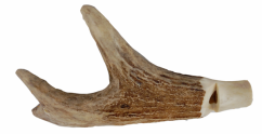 Píšťalka na psy - srnčí parůžek (horní část)