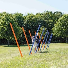 AGILITY Slalom, tyče 12ks