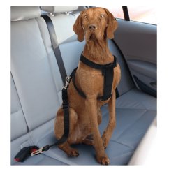 Postroj pro psa do auta Croci L 70-90 cm