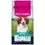 Krmivo EUKANUBA Adult Small and Medium rich in lamb 12kg