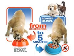 Miska proti hltání Adagio plast střední