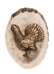 Tetřev (parohové bolo)