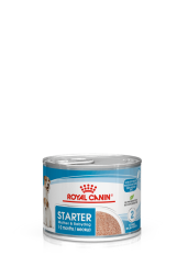 STARTER Mother & Babydog – Ultra soft mousse (12 x 195 g)