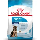 Royal Canin