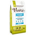 Vivere