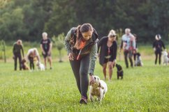 Víkenďák Nice Friend