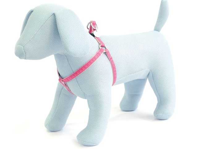 Postroj Mylord růžová 2x50-75 cm