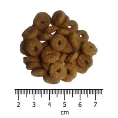 OPTIMAnova Cat Adult Salmon 8 kg