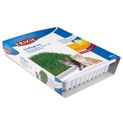 Jemná tráva pro kočku v misce TRIXIE 100 g