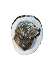 Retriever (parohové bolo - řez)