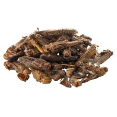 Kobylky, kyblík 500 ml (65 g)