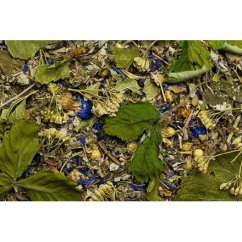 Dáme seno BYLINKOVÁ ZAHRADA - bylinná směs 60 g