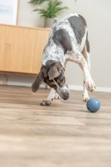 Labyrint-Snacky míč na pamlsky přírodní guma TRIXIE