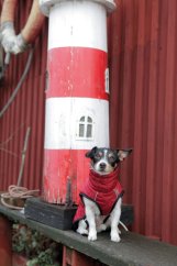 Obleček vesta MINOT červená