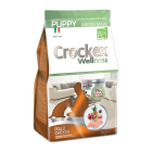 Crockex Wellness