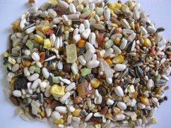 Deli Nature Premium Parrots velký papoušek 800 g