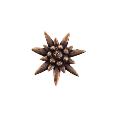 Alpská protěž (odznak na klobouk)