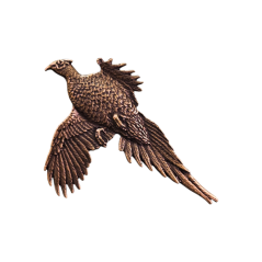 Bažant (odznak na klobouk)