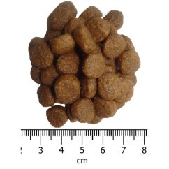 OPTIMAnova Dog Adult Mini Chicken & Rice 6 kg