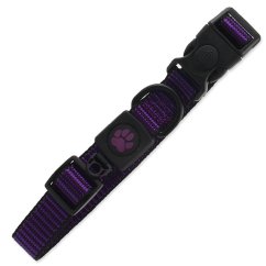 Obojek Active Dog Strong L fialový 2,5x45-68cm