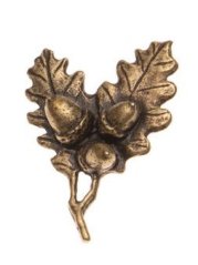 Dubová větvička (odznak na klobouk)