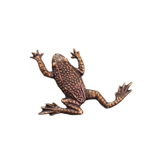 Žába (odznak na klobouk)