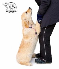 Dvoudílné vodítko Joy EXCLUSIVE