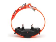 Dogtra ARC 800