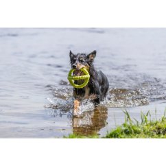 Aqua Toy Tugger, plovoucí hračka do vody, TPR