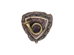 Lesnice (parohové bolo trojúhelník)