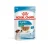 Royal Canin SHN Dog Mini Puppy Gravy Kapsičky 12x85 g (1 ks v košíku = 1 box / 12 ks)