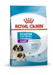 Royal Canin SHN Dog Giant Starter Mother&Babydog