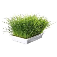BIOGRAS - tráva pro kočku TRIXIE