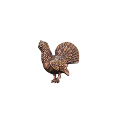 Tetřev (odznak na klobouk)