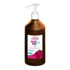 Vitar veterinae Artivit sirup s pumpičkou 1000 ml