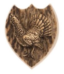 Tetřev (parohové bolo)