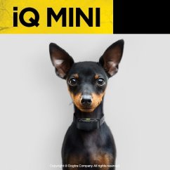 Dogtra iQ MINI