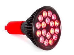 Bulb 5.0