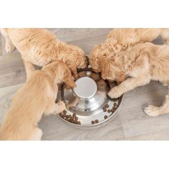 Nerez miska pro štěňata 1,4 l / 29 cm